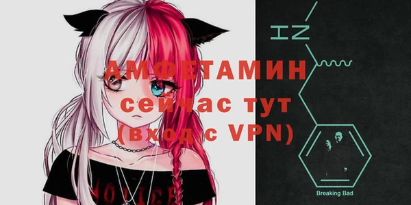 индика Нягань