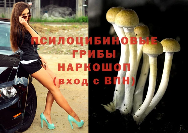 дмт Алексин