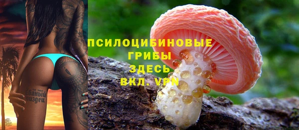 мяу мяу мука Алексеевка
