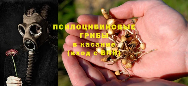 мяу мяу мука Алексеевка