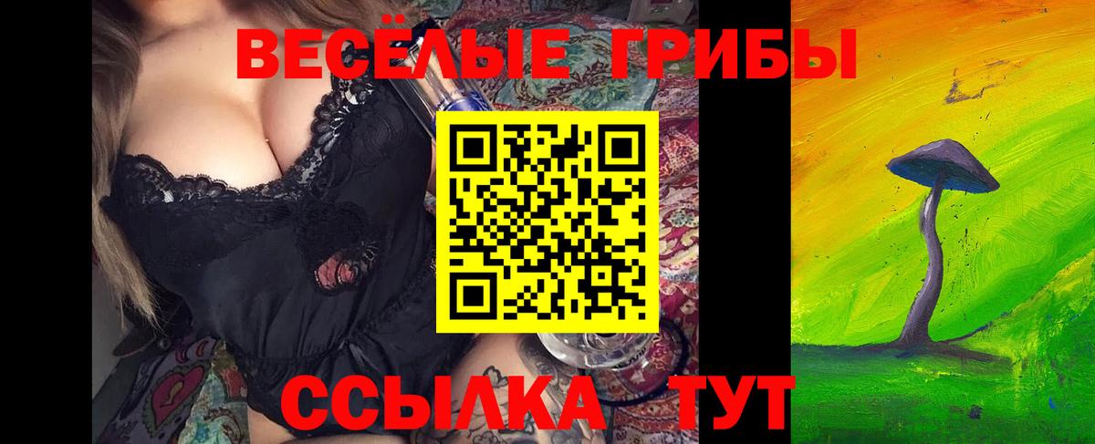 где найти   Галлюциногенные грибы прущие грибы  Вход с VPN  Самара  Псилоцибиновые грибы Magic Shrooms 